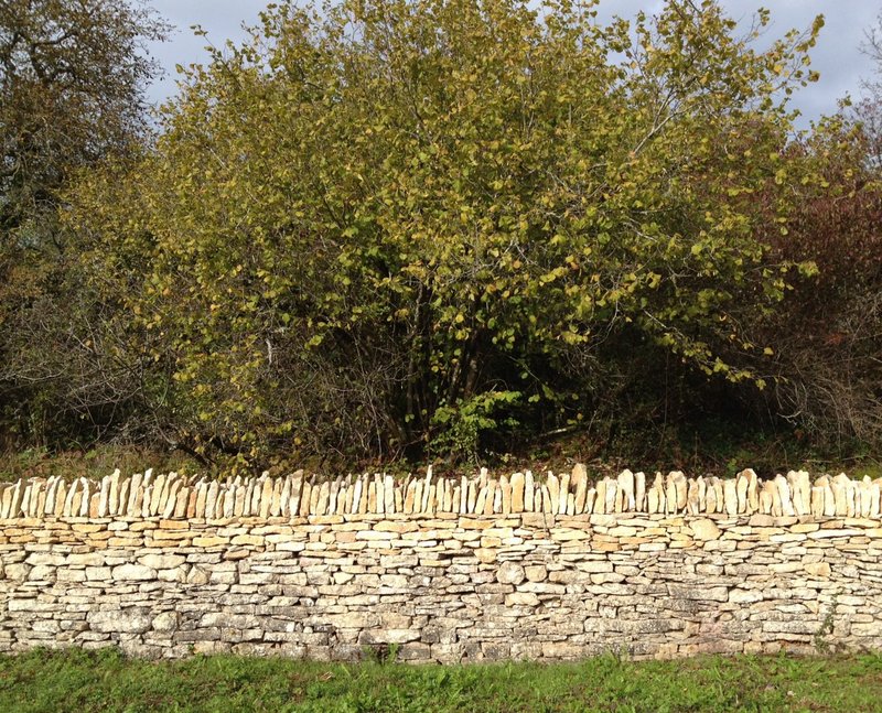 Mur de pierres sèches